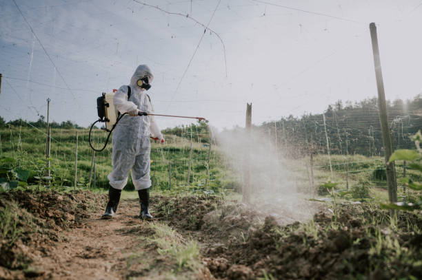 Best Pest Removal Services  in Morgantown, WV