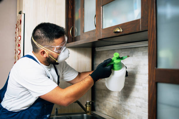 Best Mosquito Control Services  in Morgantown, WV