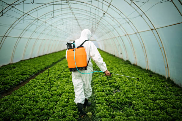 Pest Control for Restaurants in Morgantown, WV