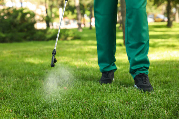  Morgantown, WV Pest Control Pros