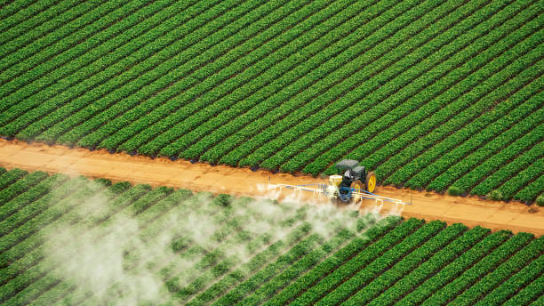 Best Pest Control Treatment  in Morgantown, WV