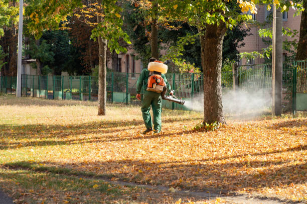 Best Pest Control Near Me  in Morgantown, WV