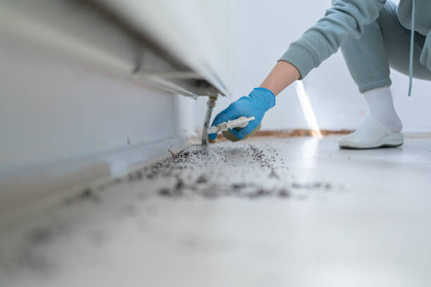 Best Exterminator Services  in Morgantown, WV