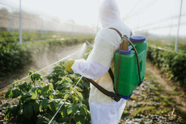 Best Commercial Pest Control Services  in Morgantown, WV